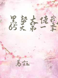 黑帮大佬我的365天第一季