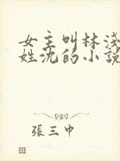 女主叫林浅男主姓沈的小说