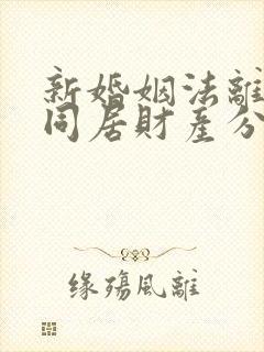 新婚姻法离婚后同居财产分割