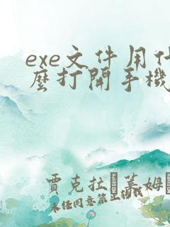 exe文件用什么打开手机