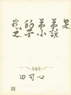 我的弟弟是天选之子小说