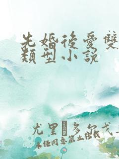 先婚后爱双男主类型小说