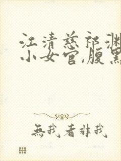 江清慈祁渊替身小女官,腹黑帝王沦陷了阅