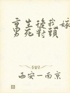 重生后我嫁给渣男死对头