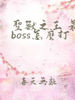 圣兽之王 最终boss怎么打