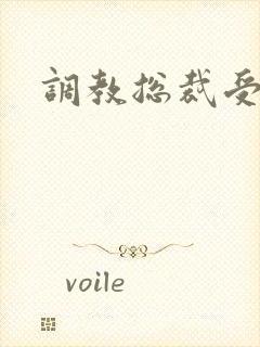 调教总裁受男男