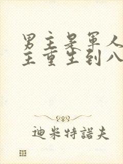 男主是军人,女主重生到八年前