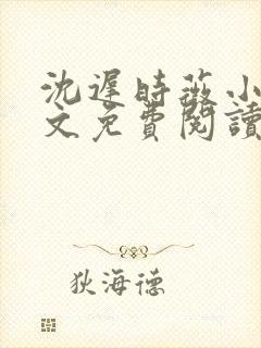 沈迟时薇小说全文免费阅读