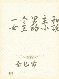 一个男主和多个女主的小说