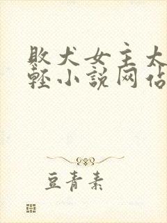 败犬女主太多了轻小说网站