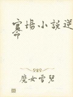 官场小说逆天改命