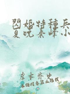 闪婚特种兵军官夏晚秦峰小说