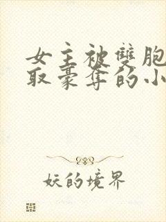 女主被双胞胎强取豪夺的小说