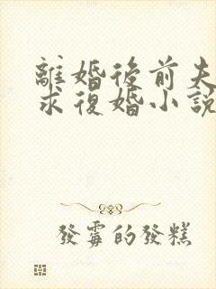 离婚后前夫哭着求复婚小说完本免费阅读