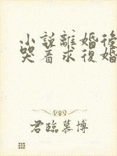 小说离婚后前夫哭着求复婚手机免费阅读全文