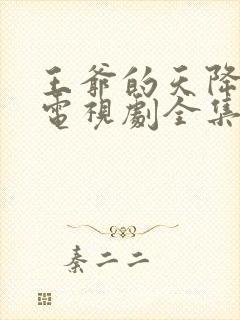 王爷的天降毒妃电视剧全集