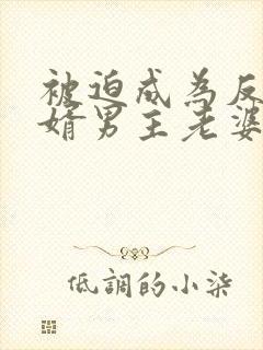 被迫成为反派赘婿男主老婆