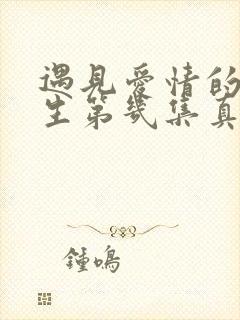 遇见爱情的利先生第几集真相大白