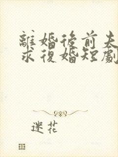 离婚后前夫日日求复婚短剧