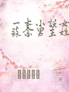 一本小说女主叫苏念男主姓陆