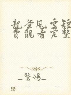 龙爸风云短剧免费观看完整版