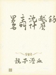 男主沈越的小说名叫什么