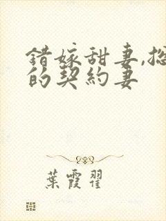 错嫁甜妻,总裁的契约妻