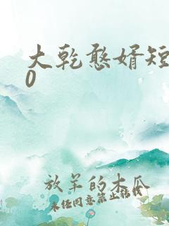 大乾憨婿短剧60