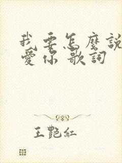 我要怎么说我不爱你 歌词