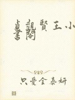 贞观贤王小说读书阁