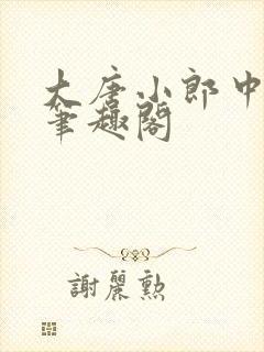 大唐小郎中小说笔趣阁