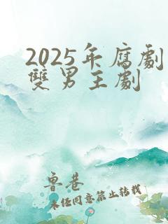 2025年腐剧双男主剧
