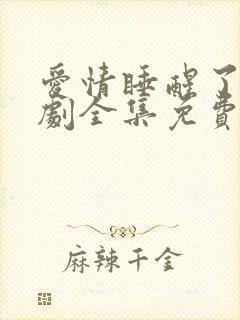 爱情睡醒了电视剧全集免费观看