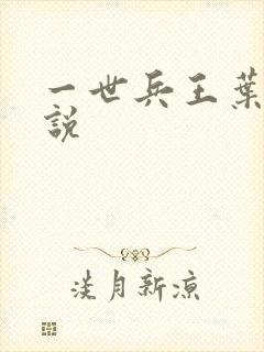 一世兵王叶浩小说