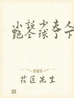 小说少夫人她惊艳全球了下载全文