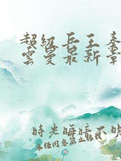 超级兵王秦渊叶云曼最新章节