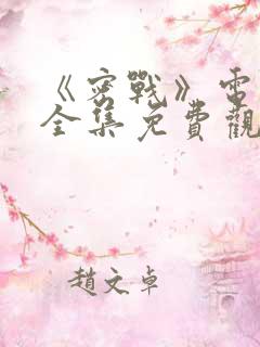 《密战》电视剧全集免费观看