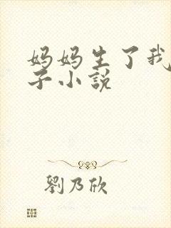 妈妈生了我的孩子小说