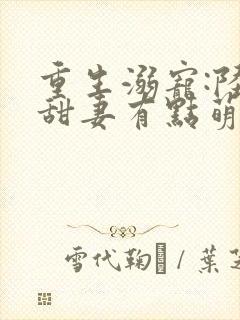 重生溺宠:陆少甜妻有点萌txt下载