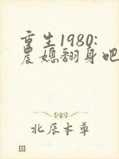 重生1980:农媳翻身吧