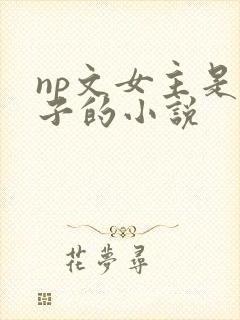 np文女主是瞎子的小说