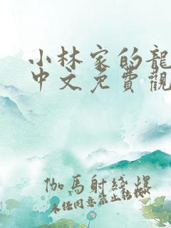 小林家的龙女仆中文免费观看