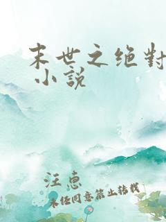 末世之绝对独宠 小说