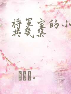 将军家的小娘子共几集