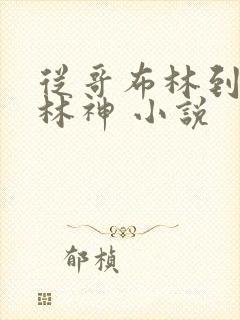 从哥布林到哥布林神 小说