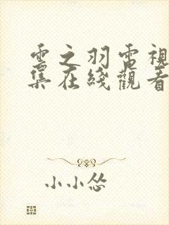 云之羽电视剧全集在线观看免费