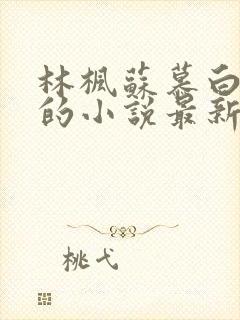 林枫苏慕白穿越的小说最新章节