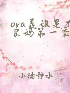 ova义姐是不良妈第一季在线观看免费中文版