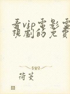 看vip电影电视剧的免费软件