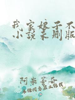 我家娘子不对劲小说未删版全文